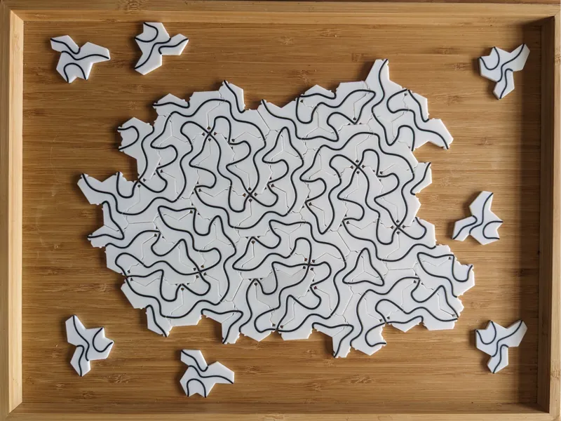Einstein Hat Puzzle - Interlocking Tiles