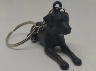 Chaveiro cachorro
