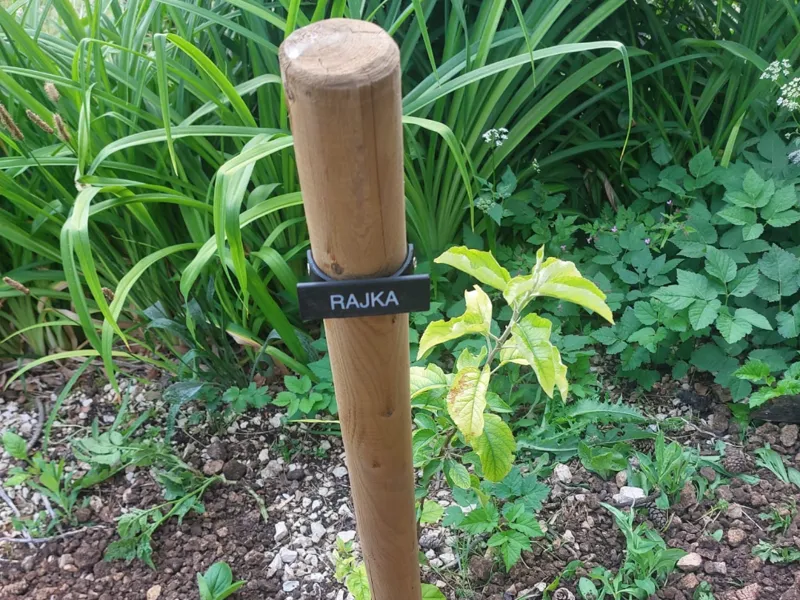Tree Name Marker
