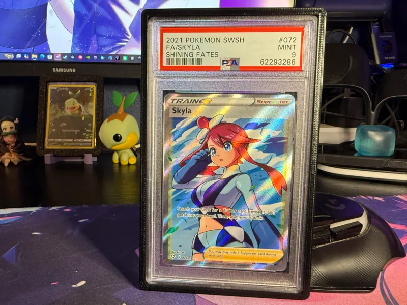 PSA Slab Guard and Bumber