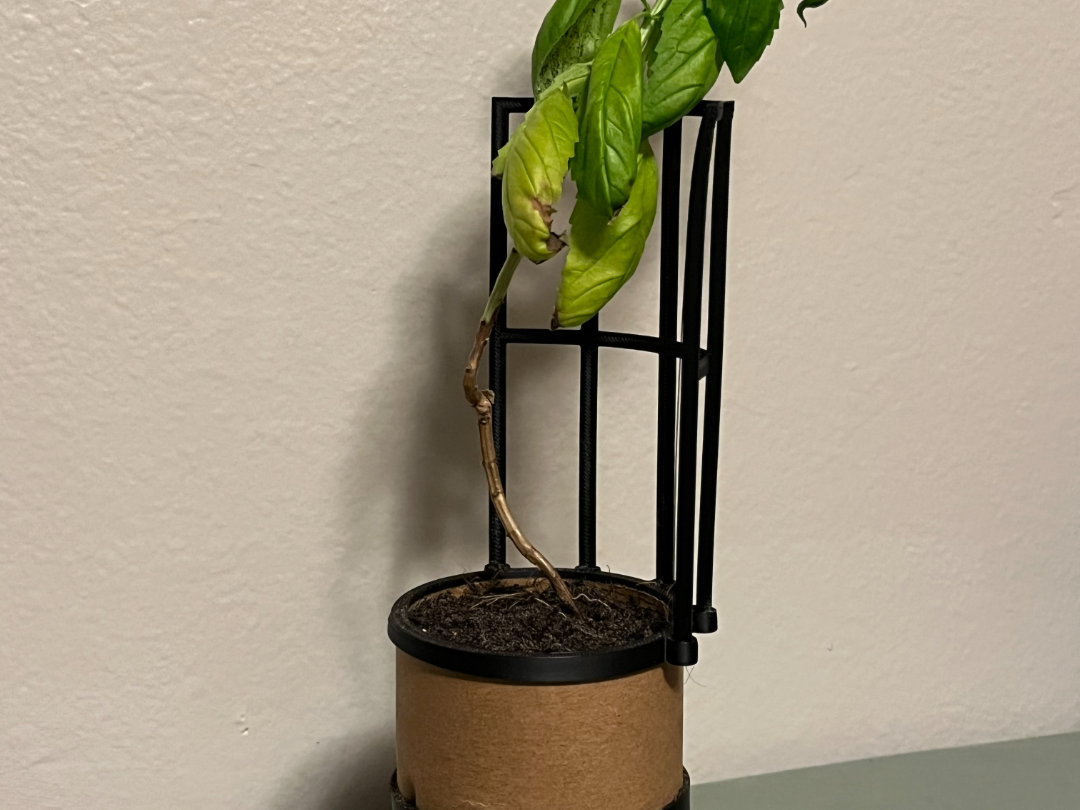 cardboard roll plant pot with plant support