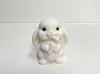 Carrot Rabbit - AMS Version