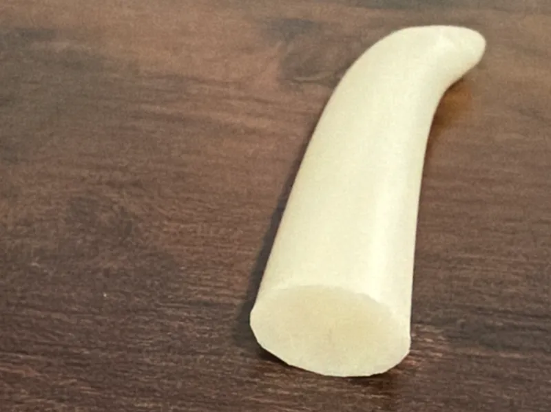 elephant tusk