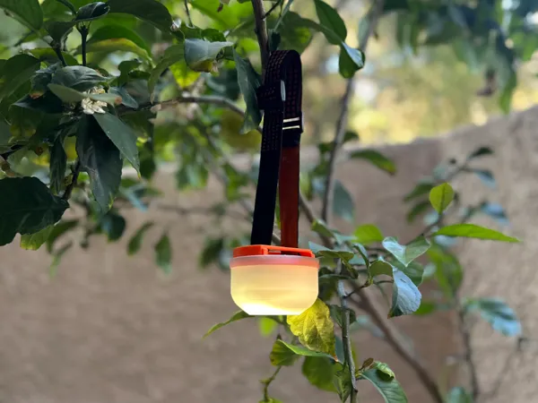 https://makerworld.bblmw.com/makerworld/model/USee41640f92d238/design/2025-04-20_2b7141ca250a.jpg