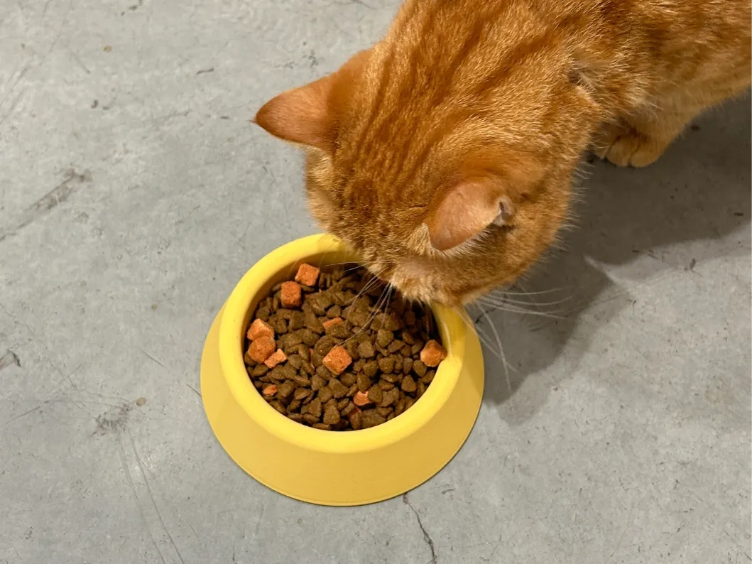 Basit kedi kasesi, kedi havzası, köpek havzası