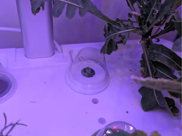 https://makerworld.bblmw.com/makerworld/model/USee46703eaf3ce2/design/2025-01-10_6d3d49ba7054a.jpg
