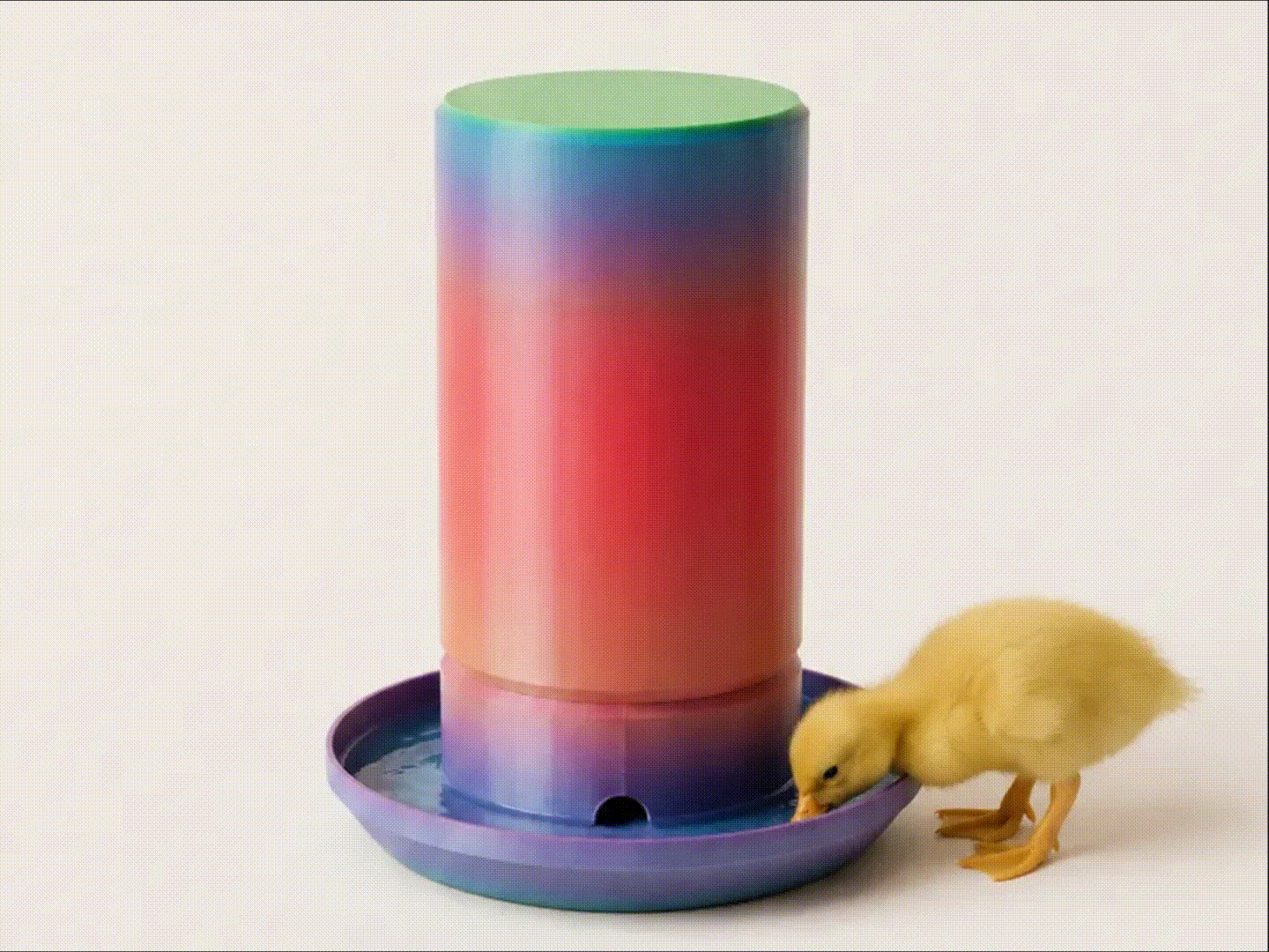 GravityFlow Chick & Duck Water Feeder No Supports!