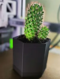 Pot à cactus pour bureau — photo 3