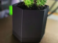 Pot à cactus pour bureau — photo 1