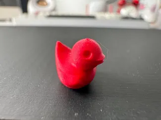 Tiny Duck