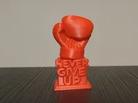 altezza 50mm 0.2mm layer, 2 walls, 10% infill