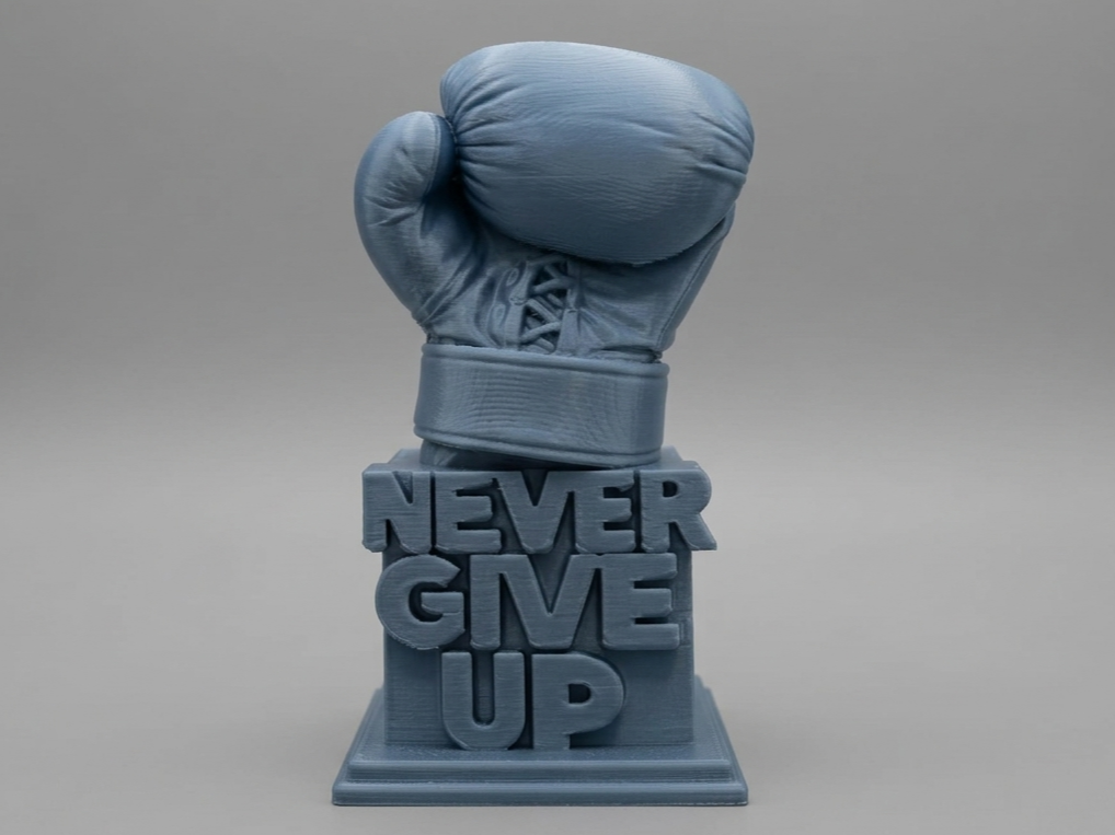 Guantone Motivazionale "Never Give Up"
