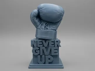 Guantone Motivazionale "Never Give Up"