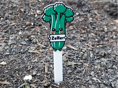Cute Plant Markers – Celery & Parsley (HU/EN)