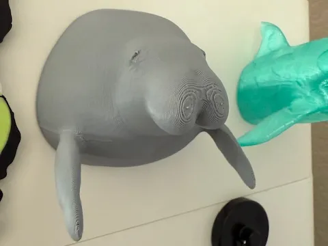 https://makerworld.bblmw.com/makerworld/model/USee582a71d11f6a/design/2025-03-15_03ee04faaad99.jpg