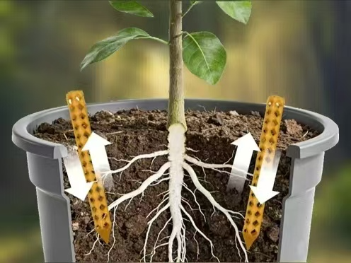 花盆土壤通风管防烂根
