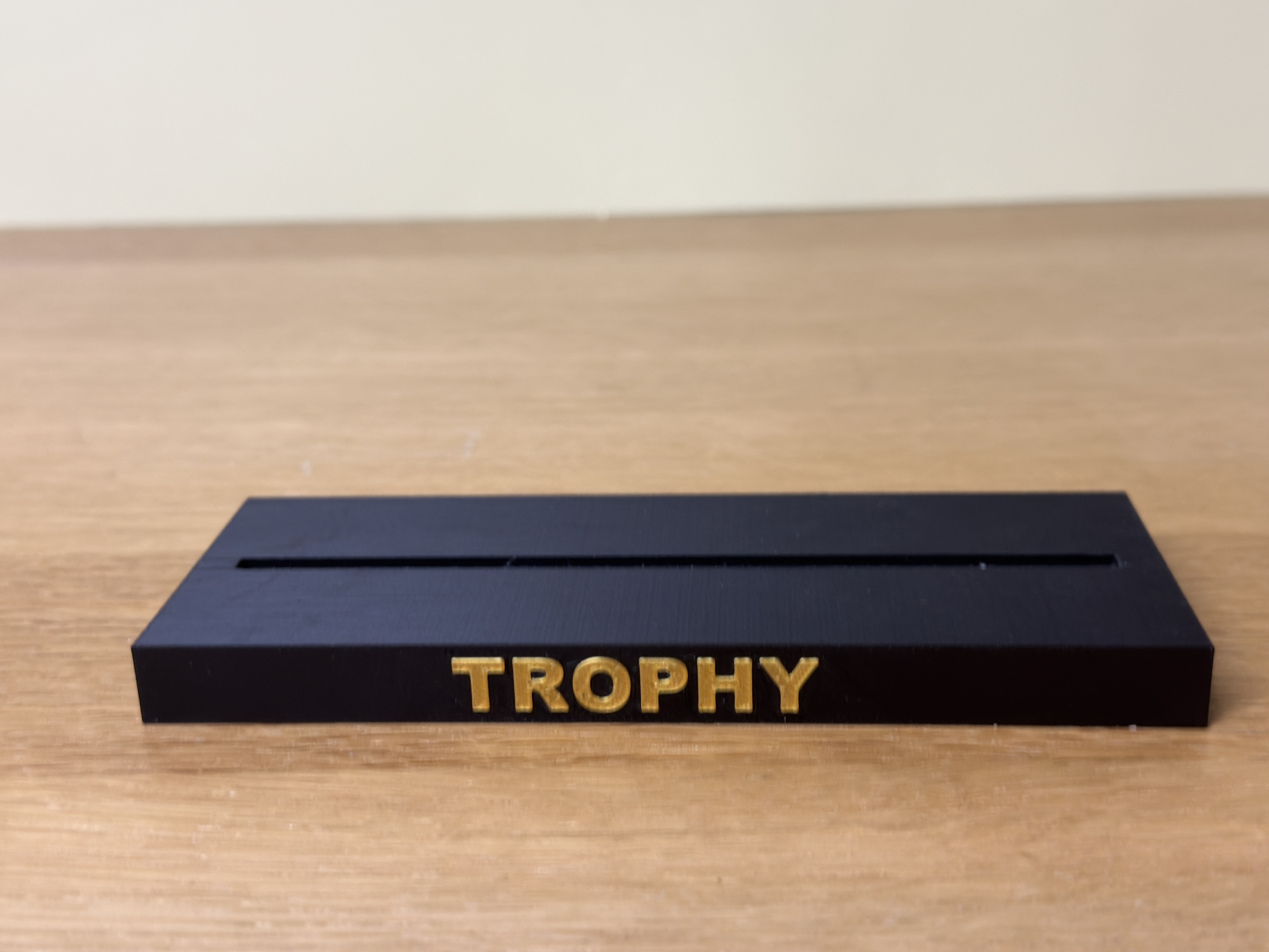 Miniatura 2 do modelo 3D Fishing Trophy