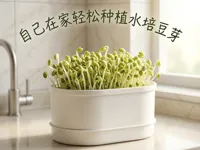 请打印两个集水盘,一个育苗盘