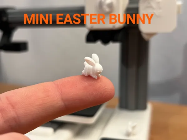 https://makerworld.bblmw.com/makerworld/model/USee6332babda9d5/design/2025-02-28_9f4398fbb2f5f.jpg