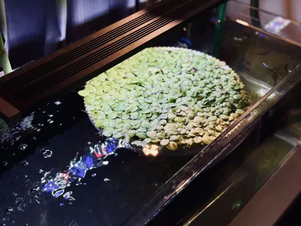 https://makerworld.bblmw.com/makerworld/model/USee64456fa83c65/design/2025-02-13_3713d93da0298.jpg