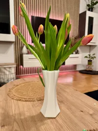 0.16mm layer, 2 walls, 0% infill