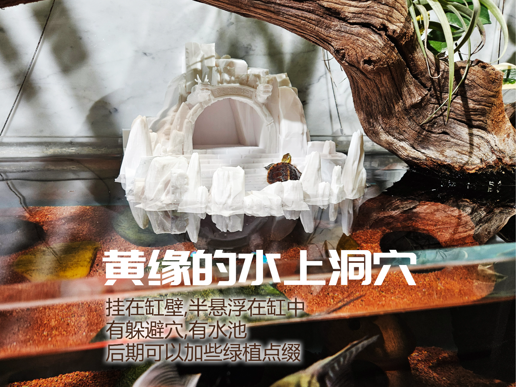 鱼缸造景-黄缘的水上洞穴，水上晒台，乌龟晒台，水路两栖晒台