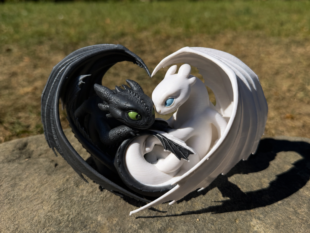Toothless & Light fury