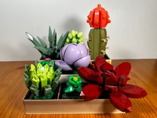 Brick Succulents - Planter Box (LEGOs)