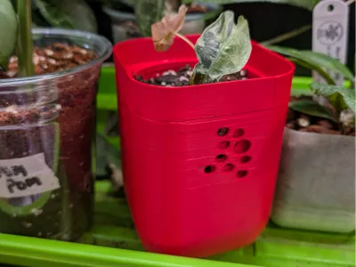 The Dreyton-Self Watering Roots First Planter Pot