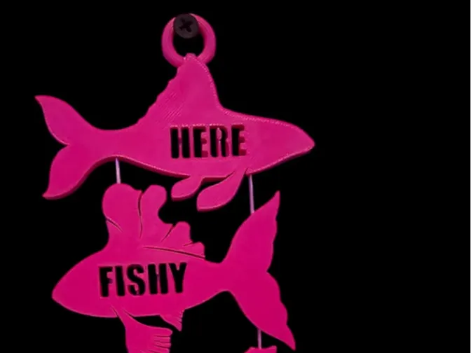 Here Fishy Fishy Fishy