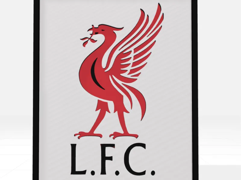 Liverpool liverbird shadow box