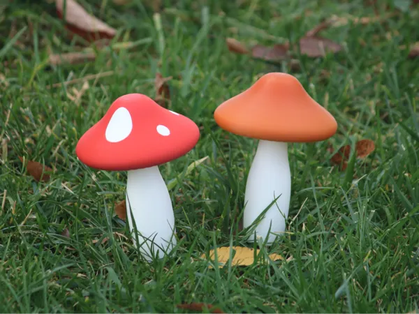 https://makerworld.bblmw.com/makerworld/model/USee7af44d1c24e3/design/2024-11-25_c0e202b37a0f3.jpg