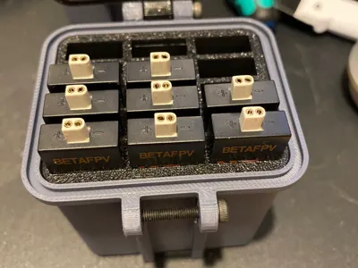 Lava 550 Insert for the Box for Lipo Battery (1s)
