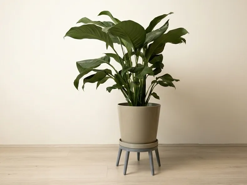 Ikea KLOTLÖNN 24cm Plant Pot Floor Stand