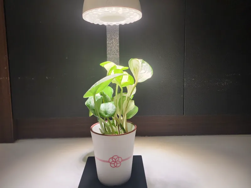 Barrina Orbgrow Rechargeble OG03C Light Stand