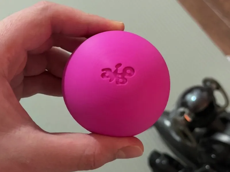 Sony AIBO Pink Ball