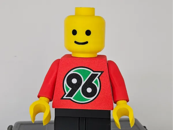 https://makerworld.bblmw.com/makerworld/model/USee862b81046163/design/2025-04-22_d75ffdba1a7bf.jpg