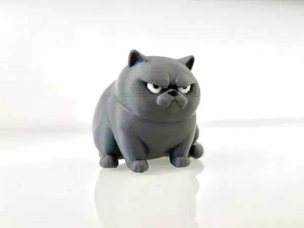 https://makerworld.bblmw.com/makerworld/model/USee8c559c2076b0/design/2025-07-08_2495a38a88fe5.jpg