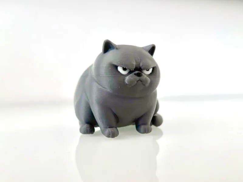 Polly die "NEIN-KATZE" Fat Cat Angry British short