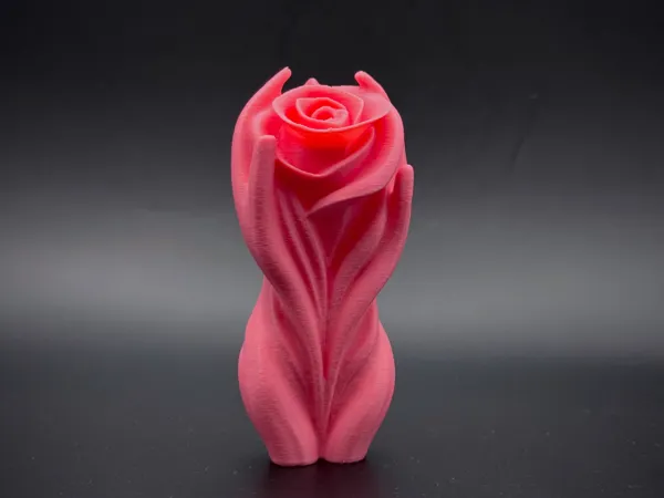 https://makerworld.bblmw.com/makerworld/model/USee95fb95616e7e/design/2025-05-22_3ca354eacb4c68.jpg