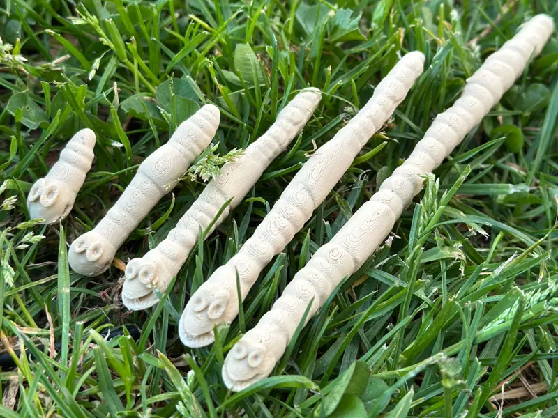 Measuring worms