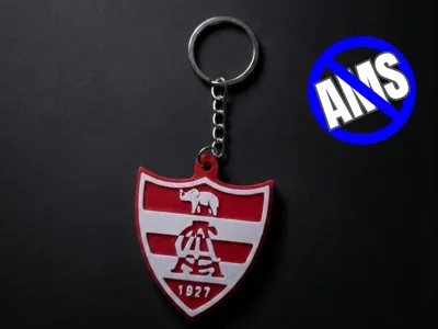 LINENSE TEAM KEYCHAIN - WITHOUT AMS