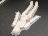 5% infill (still strong) and with brimming for extra support