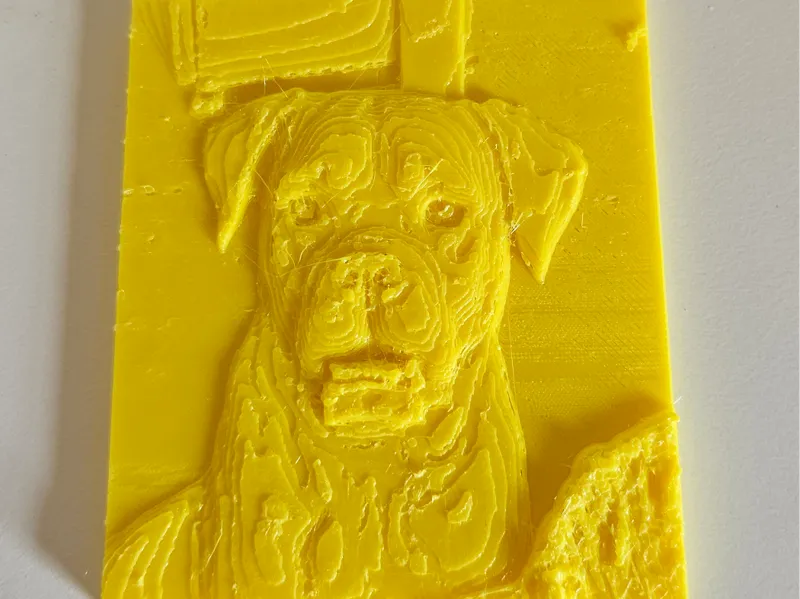 Cane Corso Italiano Relief