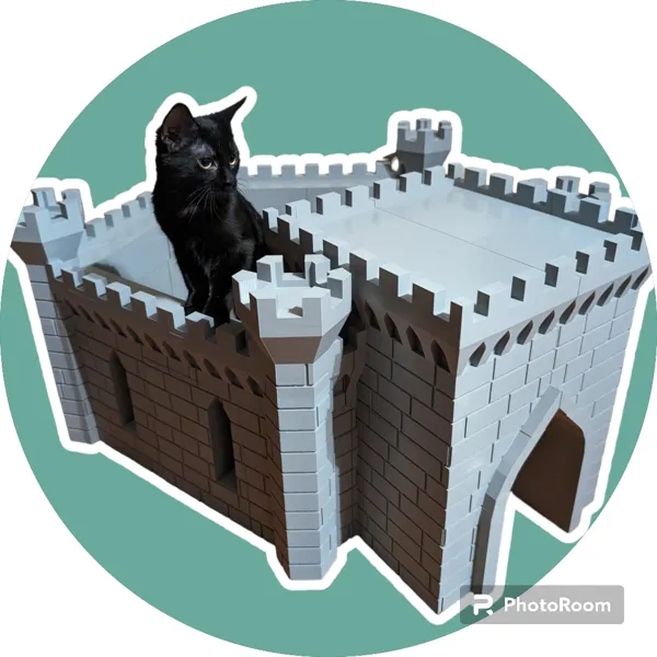 https://makerworld.bblmw.com/makerworld/model/USeea28061adaf16/design/2024-02-09_83f6cbf5eabc9.png