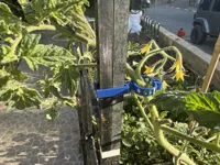 Double Structo version