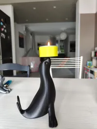 foca