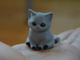 cute cat muticolor