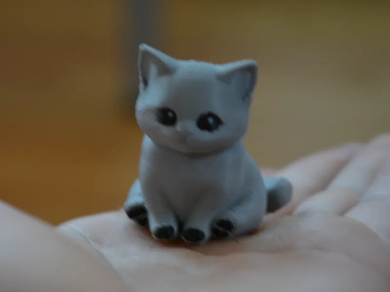 cute cat muticolor