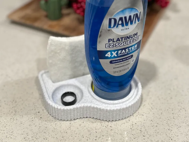 Sponge Tray Organizer